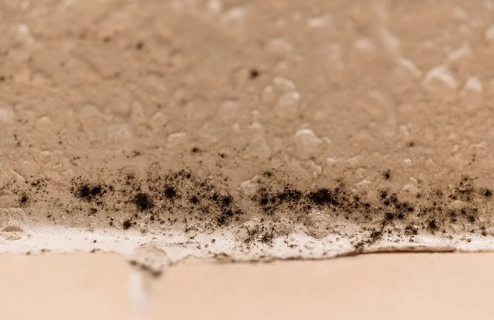 Black mold along a caulk and grout line. Shown on the Drywall mold page for Rochester, NY.