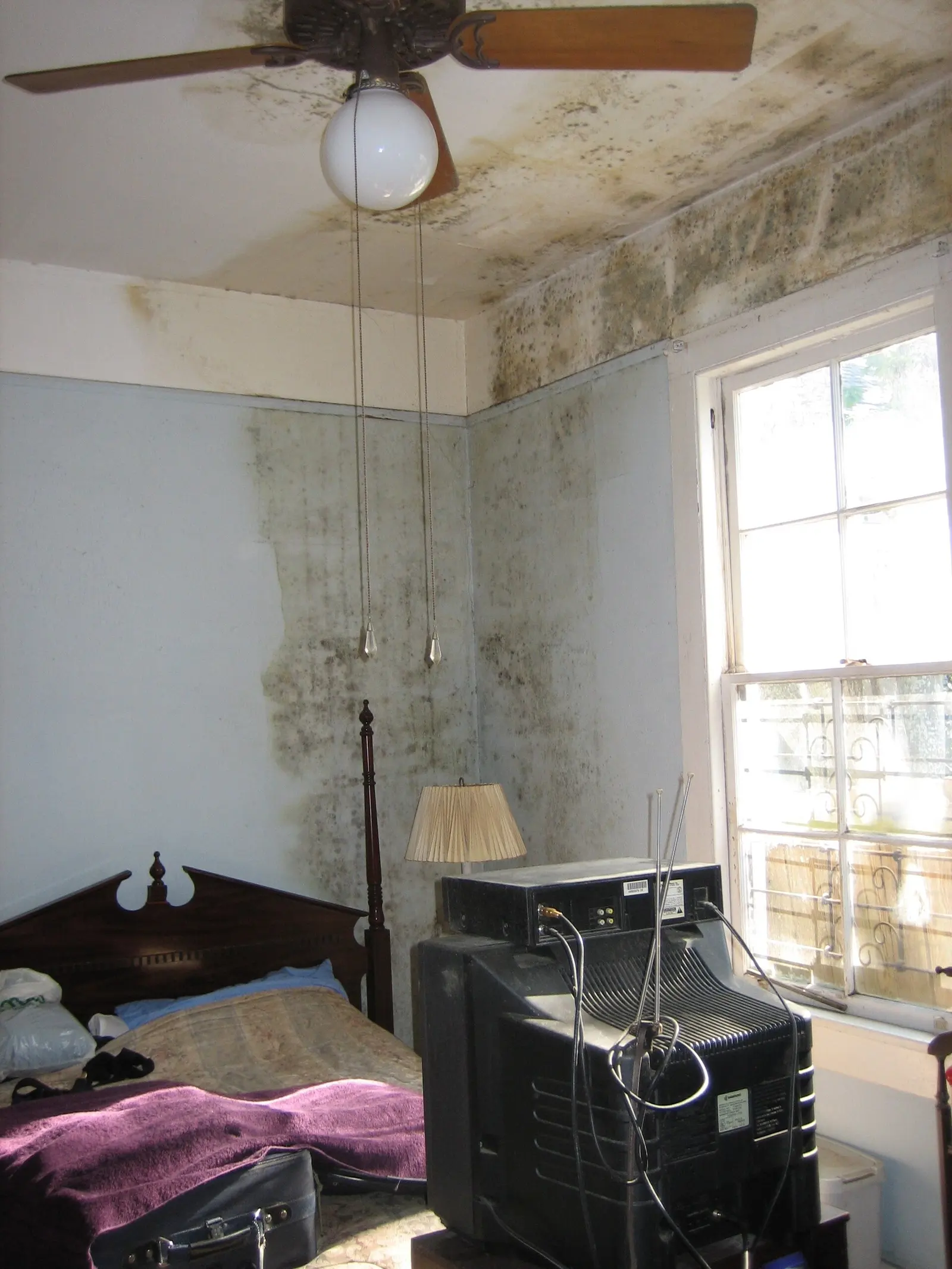Mold on a bedroom wall and ceiling after water damage. Shown on the Air check page for Rochester, NY.